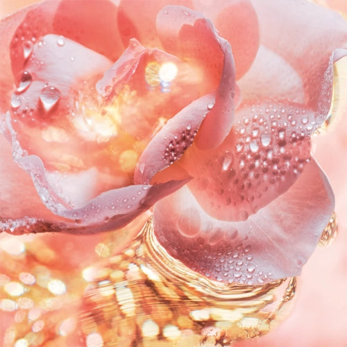 Bvlgari ROSE GOLDEA The Essence of The Jeweller 90ML