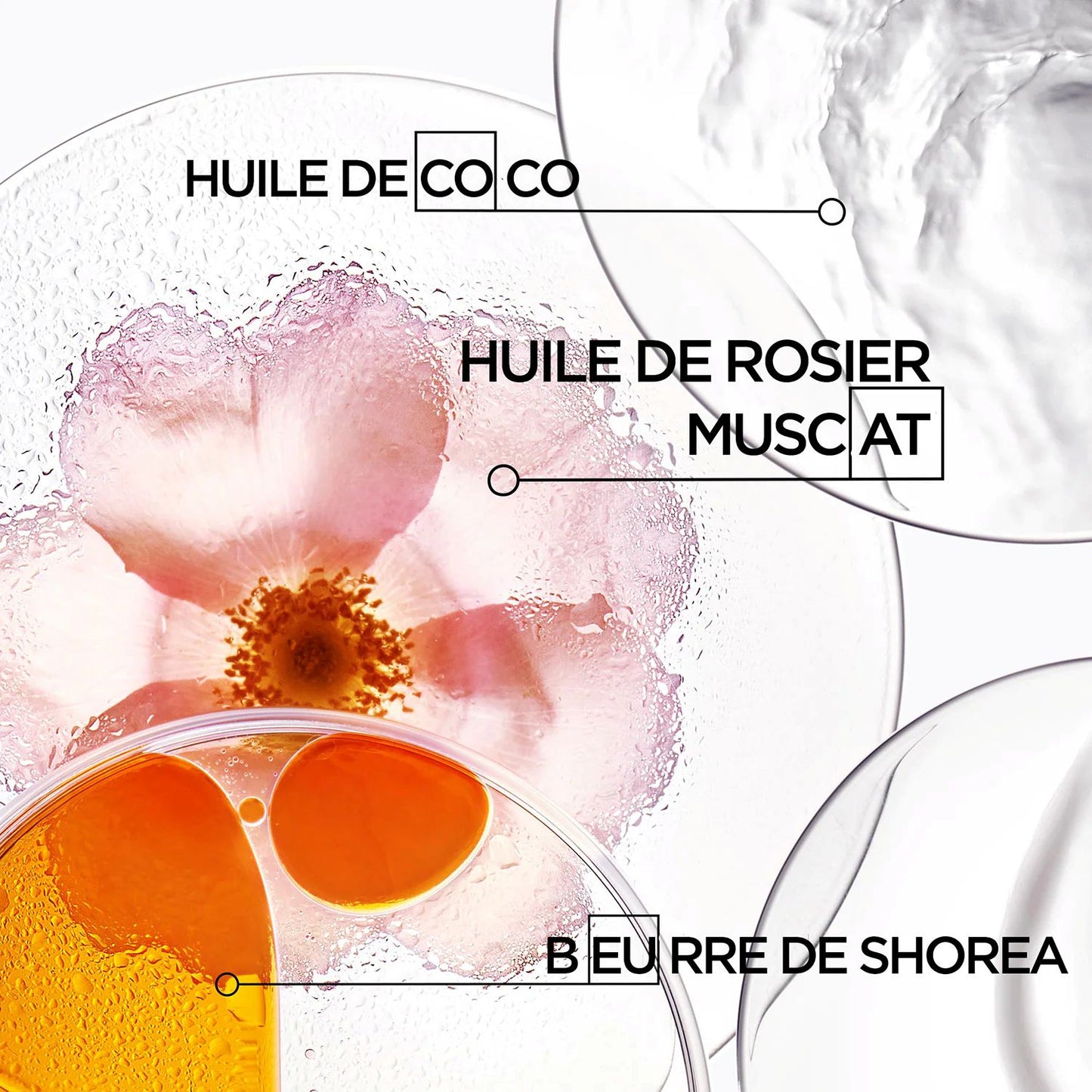 Kérastase DISCIPLINE - Oléo Relax Advanced - MORPHOS HUILES - 100ml