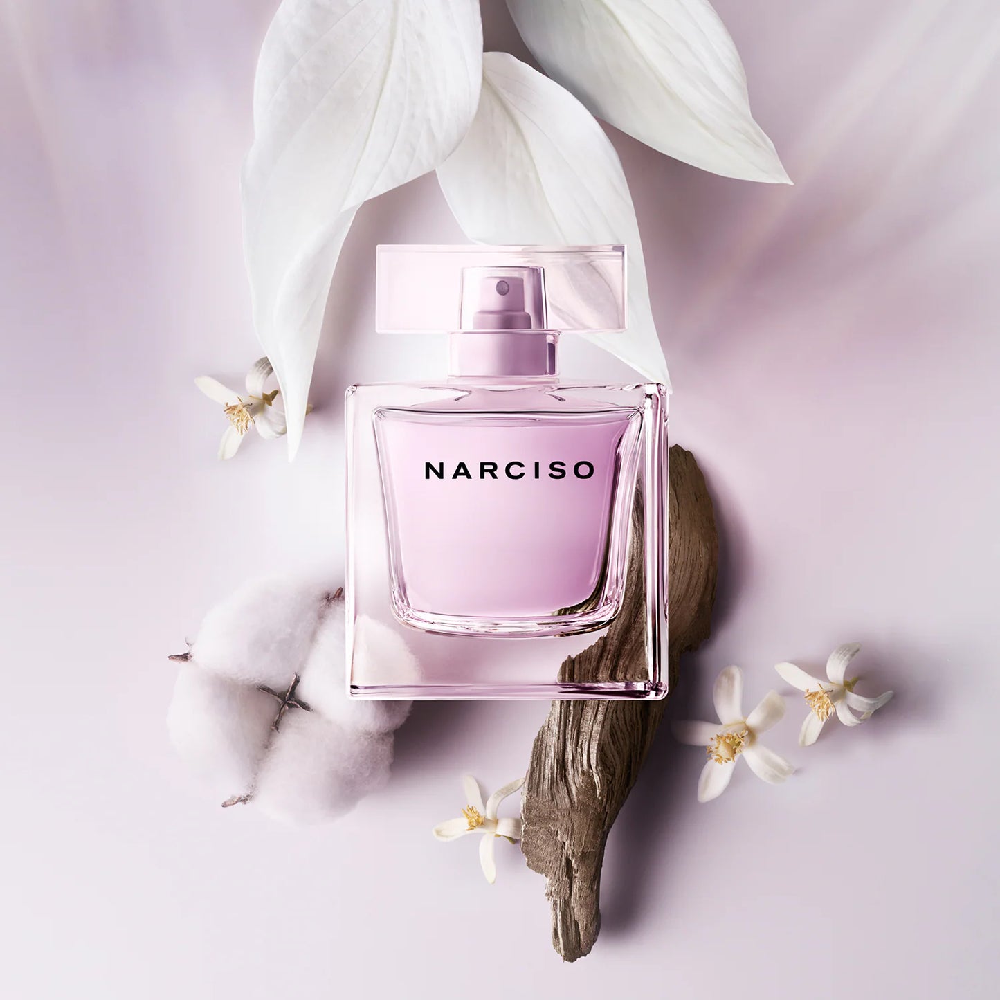 Narciso Rodriguez - Narciso Radiante - Eau de Parfum Femme - 50ml