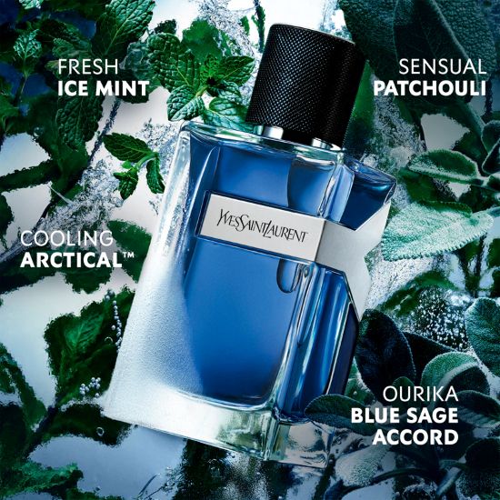 Yves Saint Laurent ICED COLOGNE - Eau de Toilette Intense pour Homme - 100ml